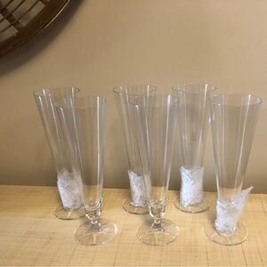 NWOT MCM Discontinued “Richmond” Pilsners set 6 Schott-Zwiesel.